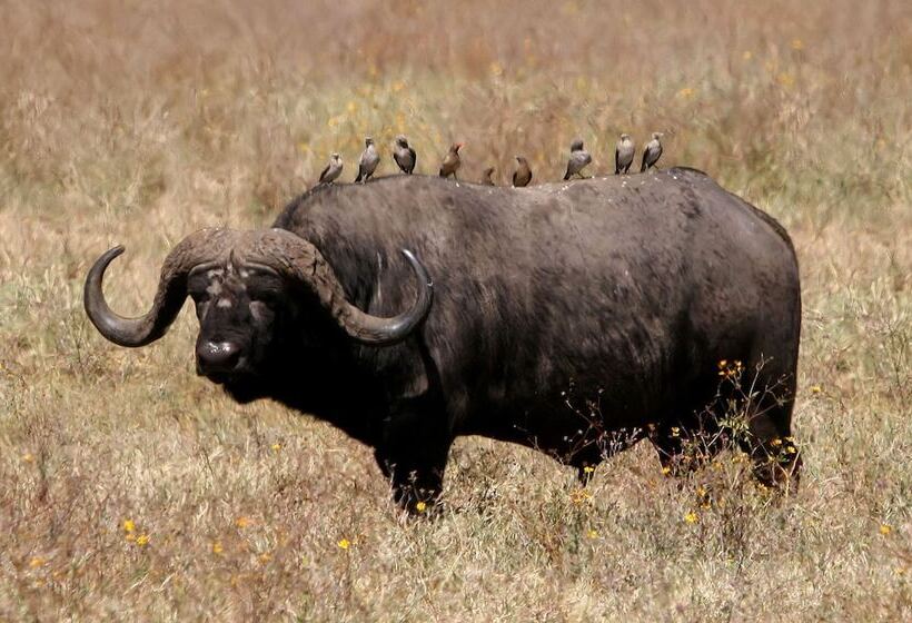 Bothabelo Bed And Breakfast