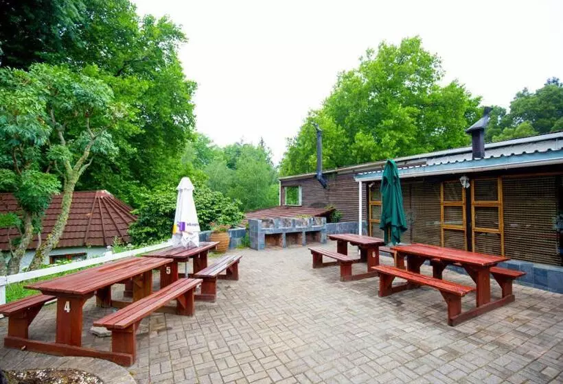 Hotel Kings Lodge