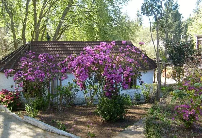 Hotel Kings Lodge