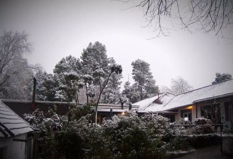 Hotel Kings Lodge