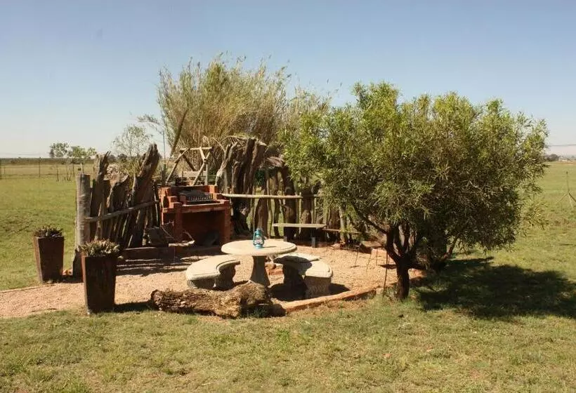 Ikhamanzi B&b