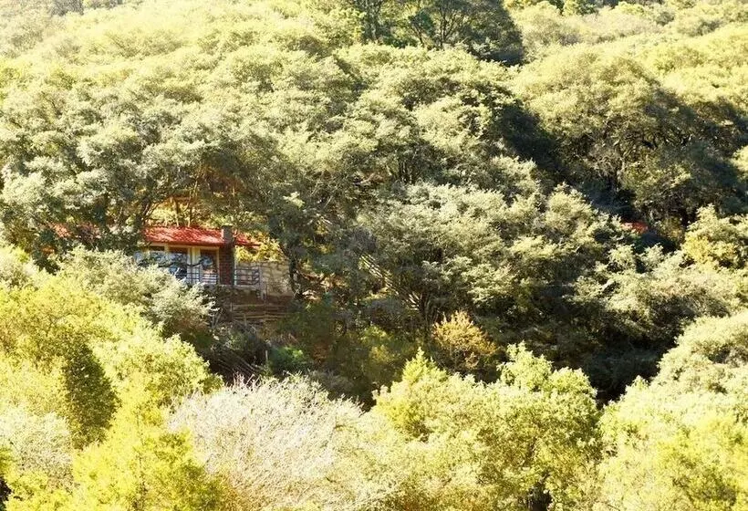 ホテル Cabaña El Encino Ii En Real Del Monte