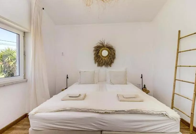 ユースホステル Ocean House   Ribeira D Ilhas Ericeira