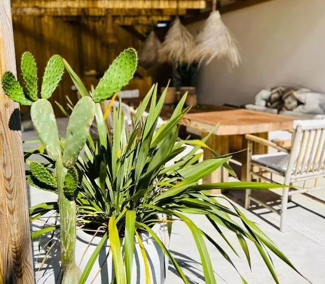 ユースホステル Ocean House   Ribeira D Ilhas Ericeira