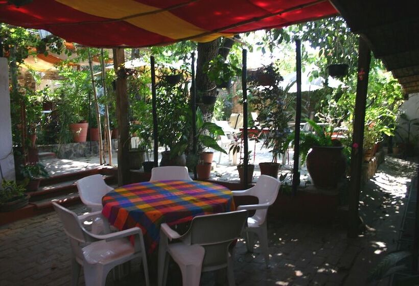 مبيت وإفطار Meson Don Quijote