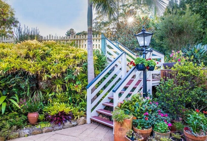 호텔 Avocado Sunset B&b