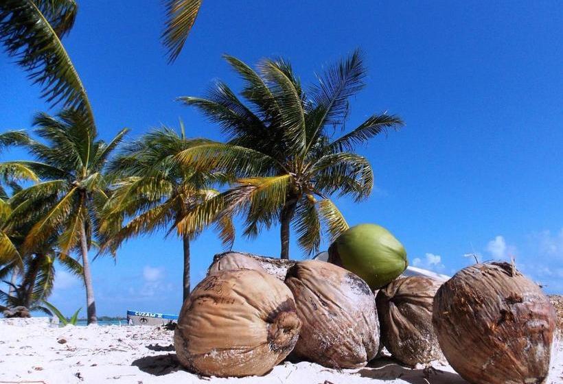 Отель Casa Pascale