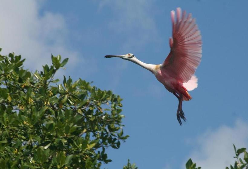 Отель Casa Pascale