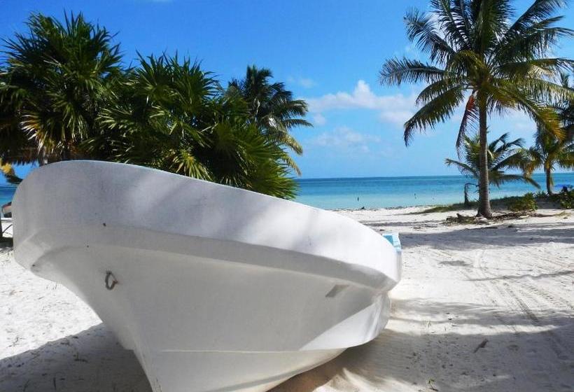 Отель Casa Pascale