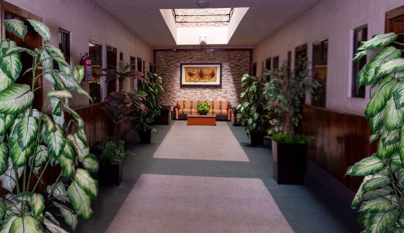 فندق Guadalajara