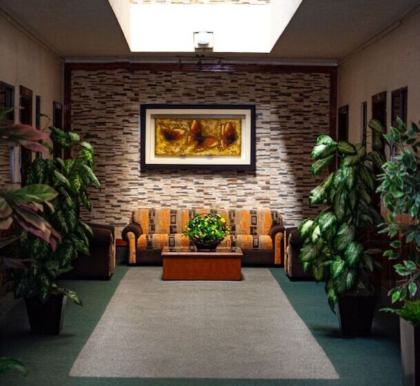 فندق Guadalajara