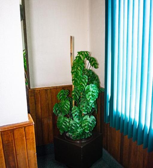 فندق Guadalajara