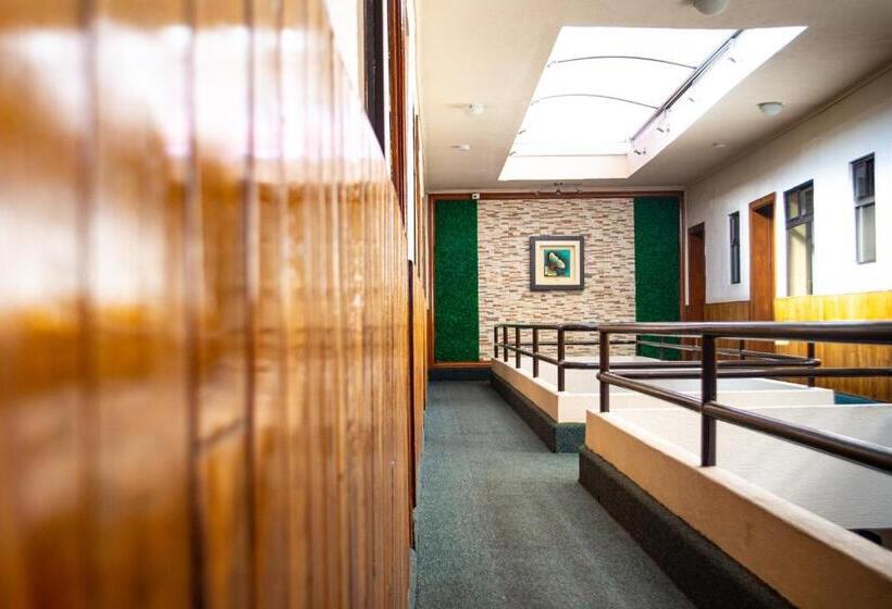 فندق Guadalajara