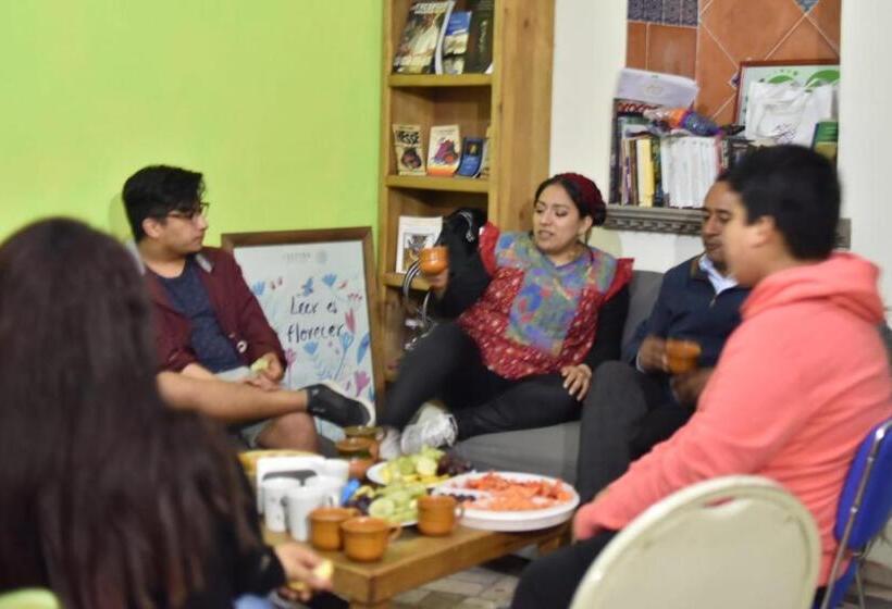 酒店 Hostal Quinto Sol Huamantla