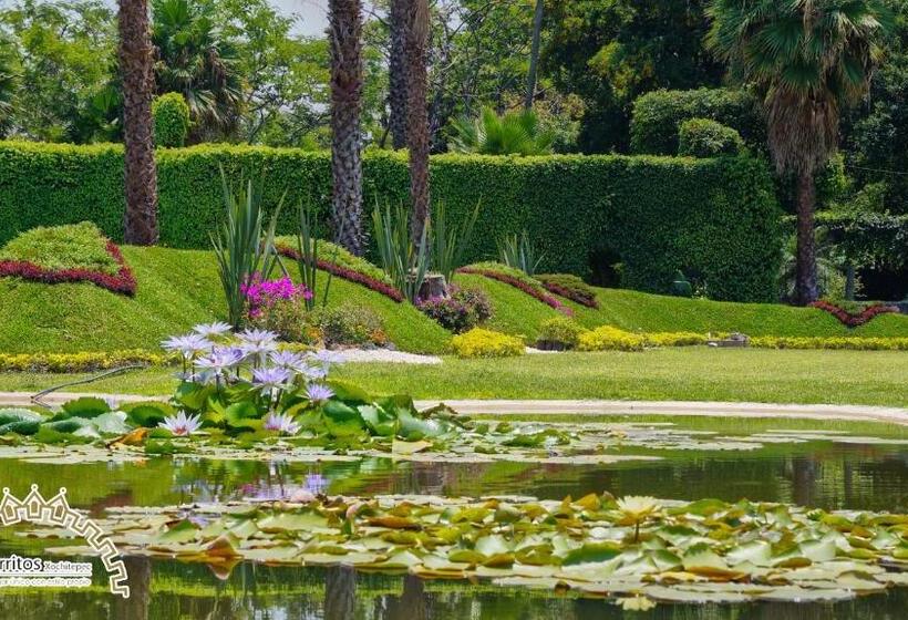 فندق Jardín Cerritos Xochitepec