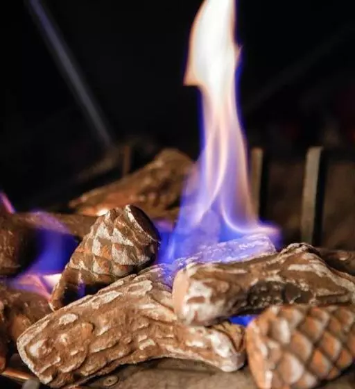 Hotelli Restaurant La Source