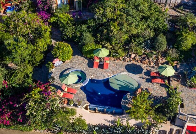 فندق Los Colibris Casitas