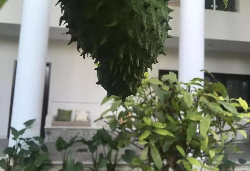 ホテル Tuparenda