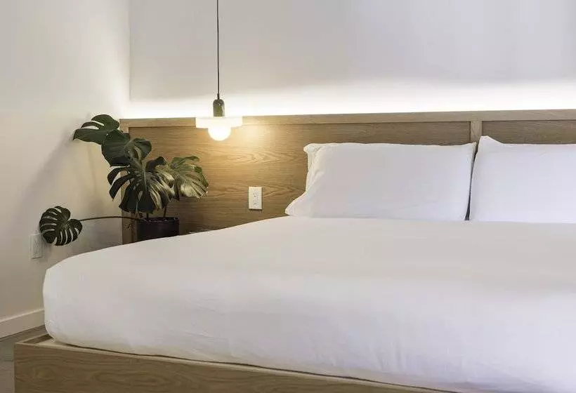 هتل Best Bet Motor Lodge