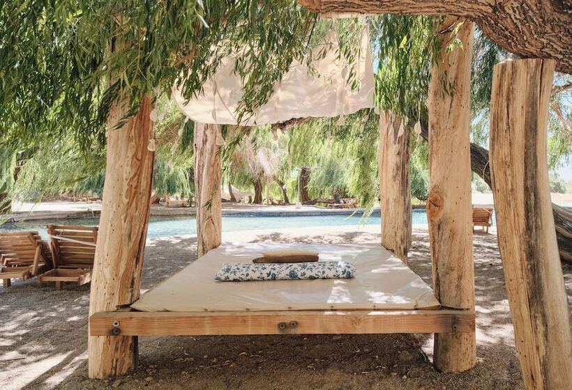 Hotel Glamping Miraflores