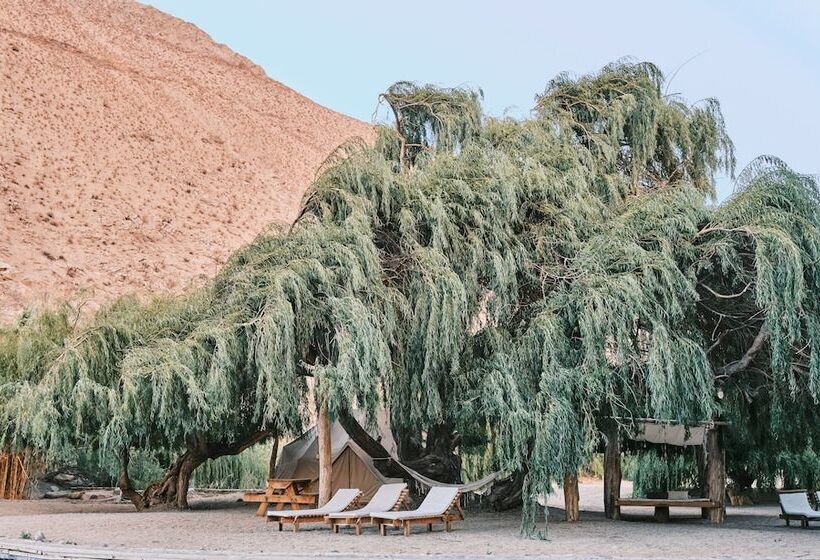 Hotel Glamping Miraflores