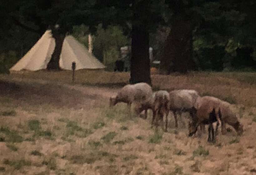 酒店 Mendocino Magic