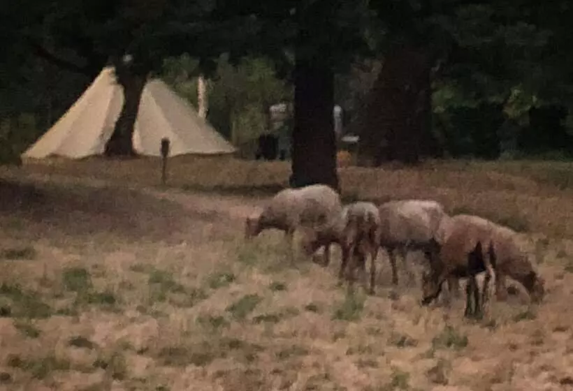 Hotelli Mendocino Magic