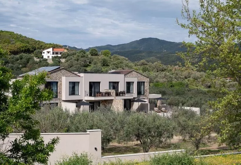 Olivera Suites Sarti