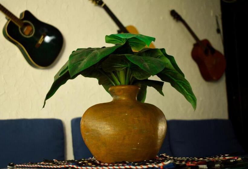 旅馆 Hostal Loco Coco Loco