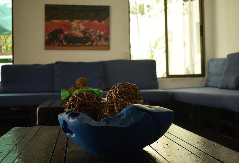 旅馆 Hostal Loco Coco Loco