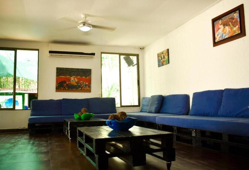 旅馆 Hostal Loco Coco Loco