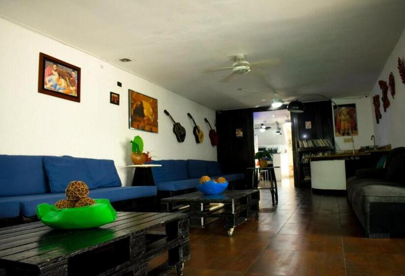 旅馆 Hostal Loco Coco Loco