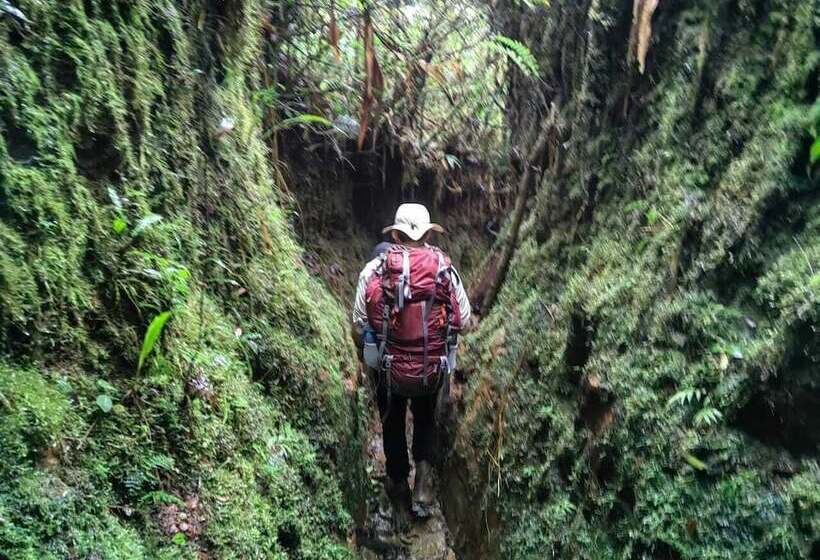 Herberge Hostal Nomba