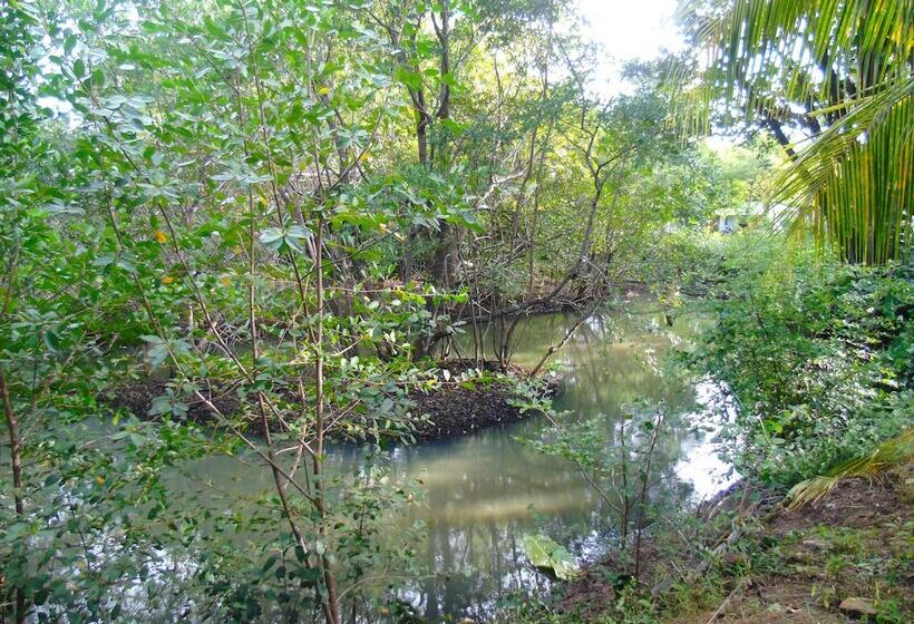 Retkeilymaja Hostal Villas Mexico