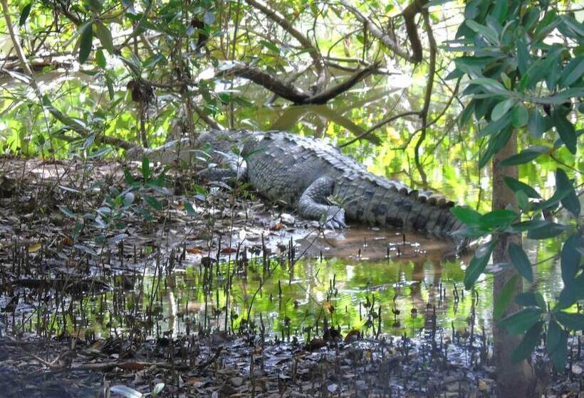 Retkeilymaja Hostal Villas Mexico