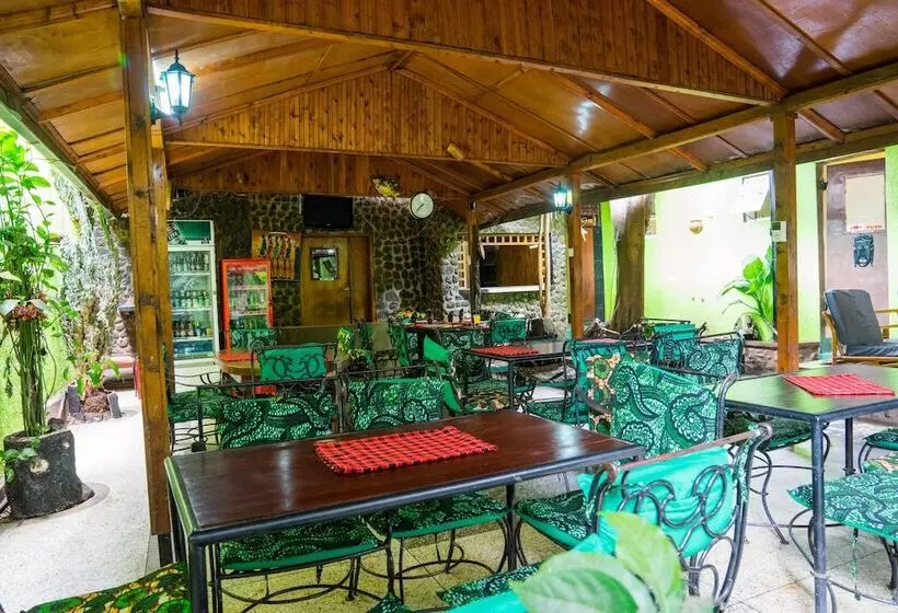 هاستل New Siesta Inn