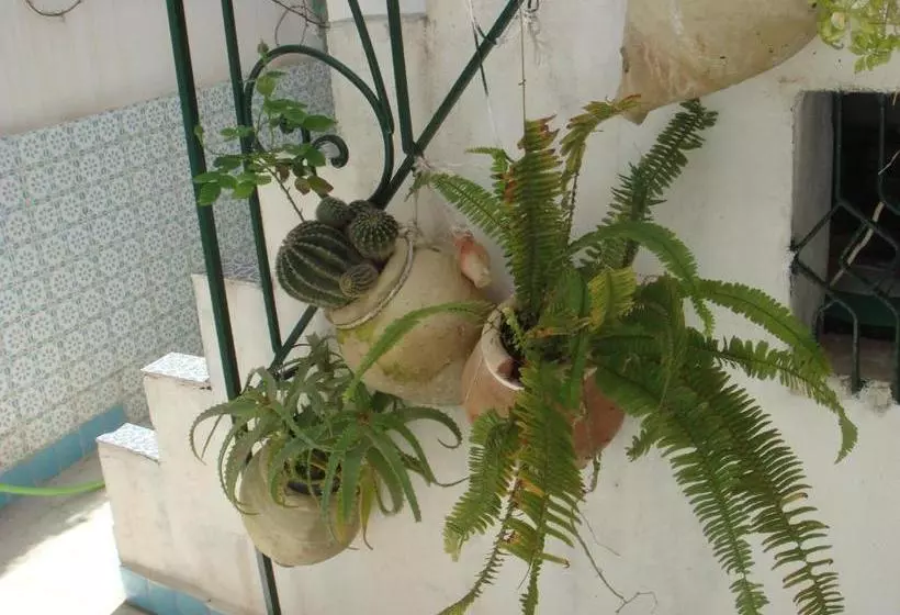 Aamiaismajoitus (B&B) Dar Warda