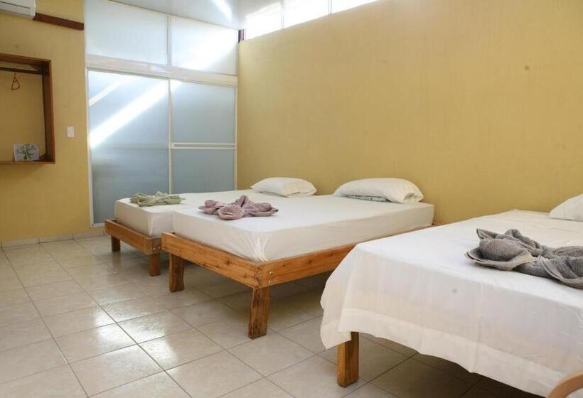 تختخواب و صبحانه Valerie