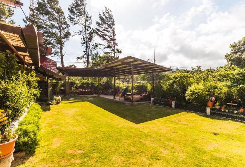 Bodhi Hostel & Lounge