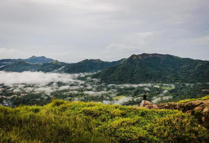 Bodhi Hostel & Lounge