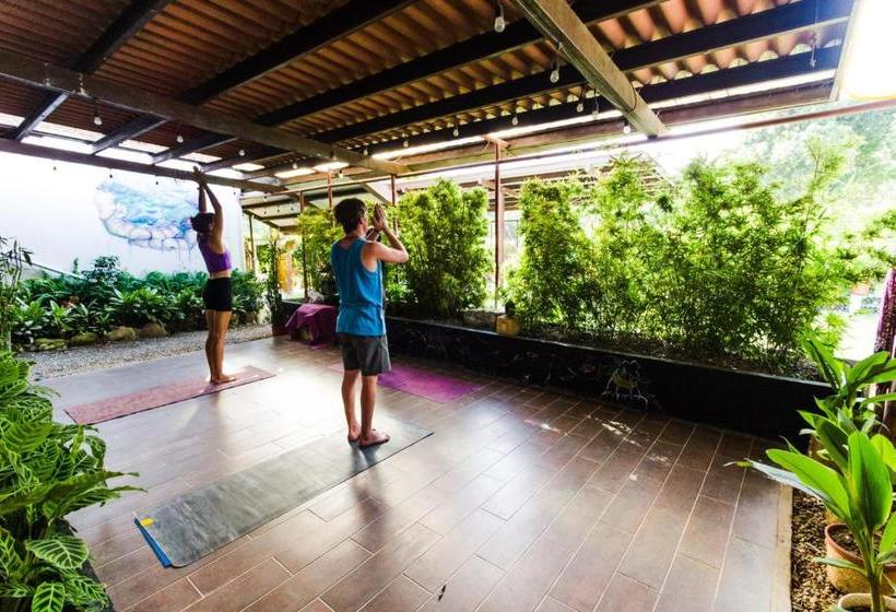 Bodhi Hostel & Lounge