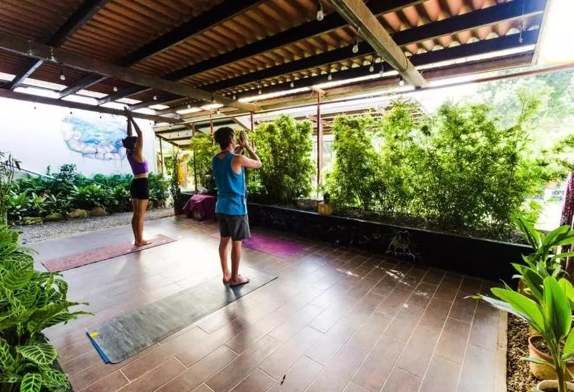Bodhi Hostel & Lounge