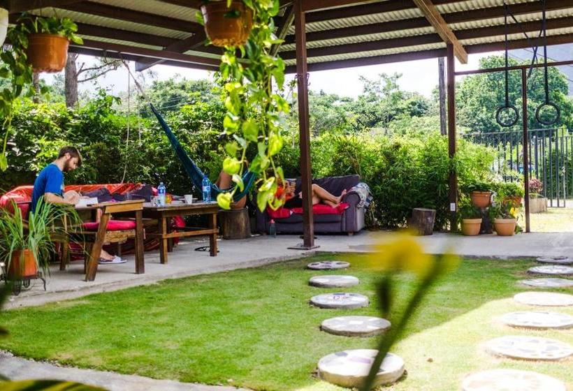 Bodhi Hostel & Lounge