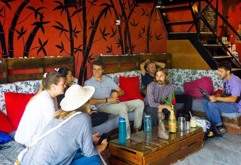 Bodhi Hostel & Lounge