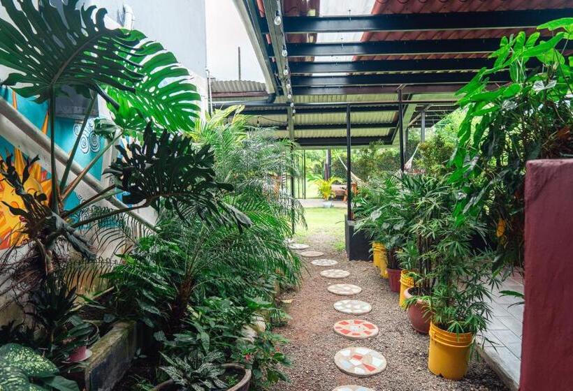 Bodhi Hostel & Lounge