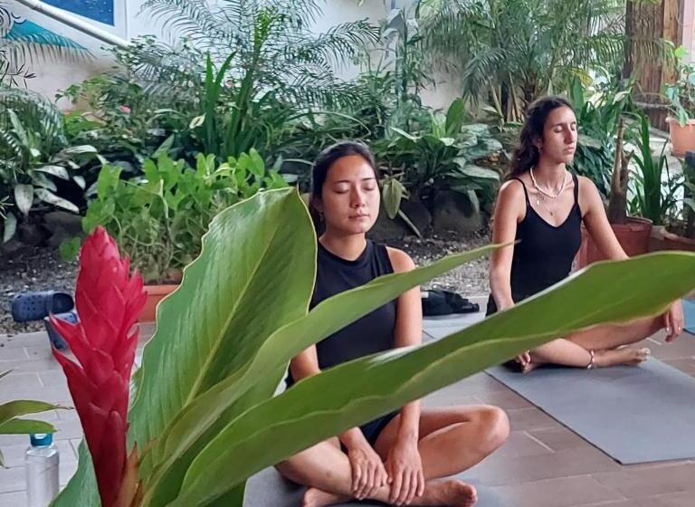 Bodhi Hostel & Lounge