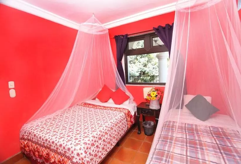 هتل Casa Colonial Panasurf
