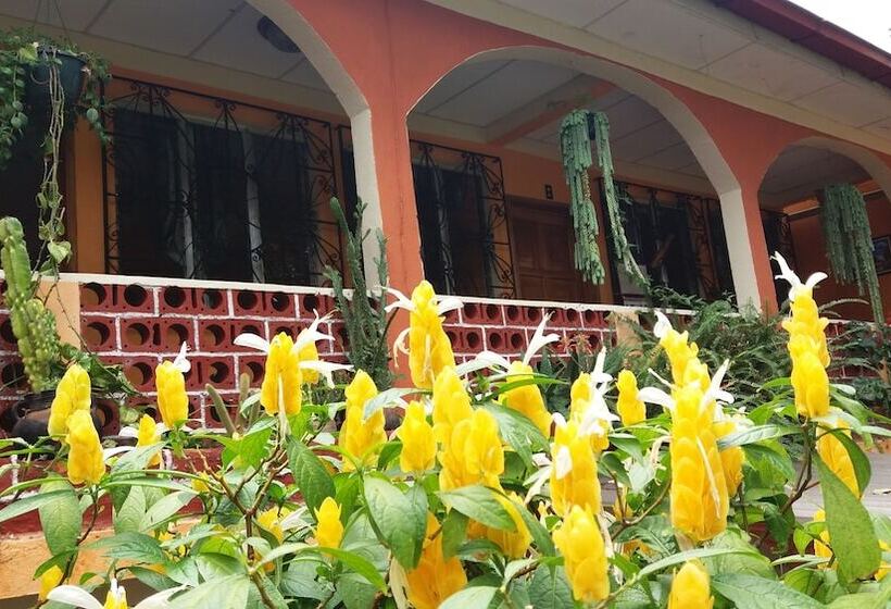 هتل Hospedaje El Viajero