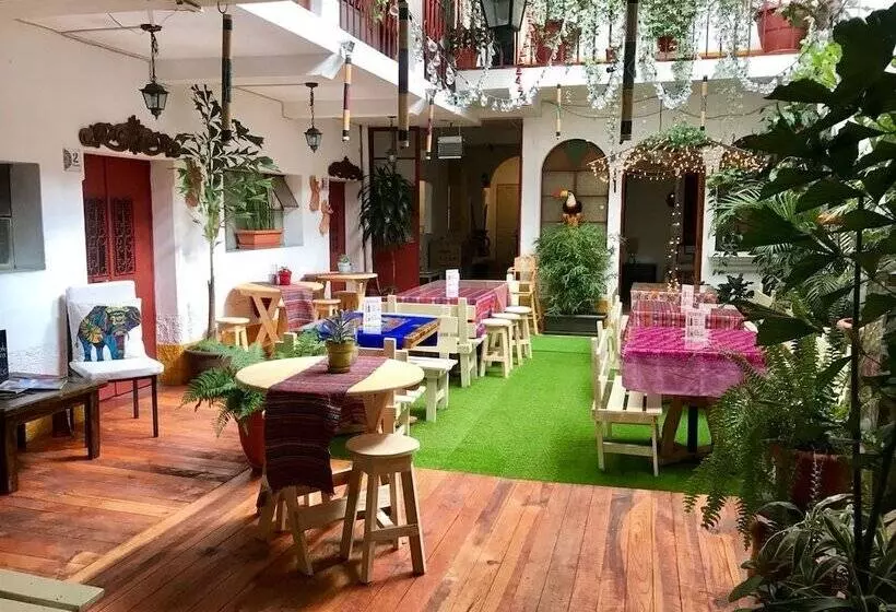 هتل Hostel La Quinta