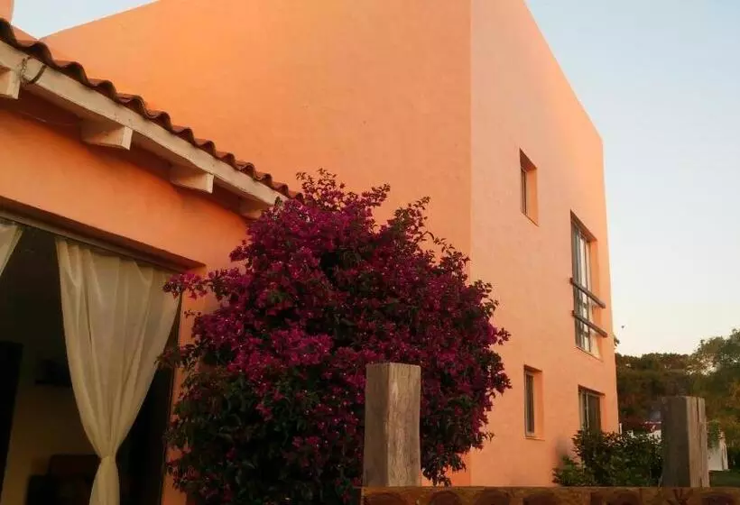 Hotelli Posada Cova Del Sol